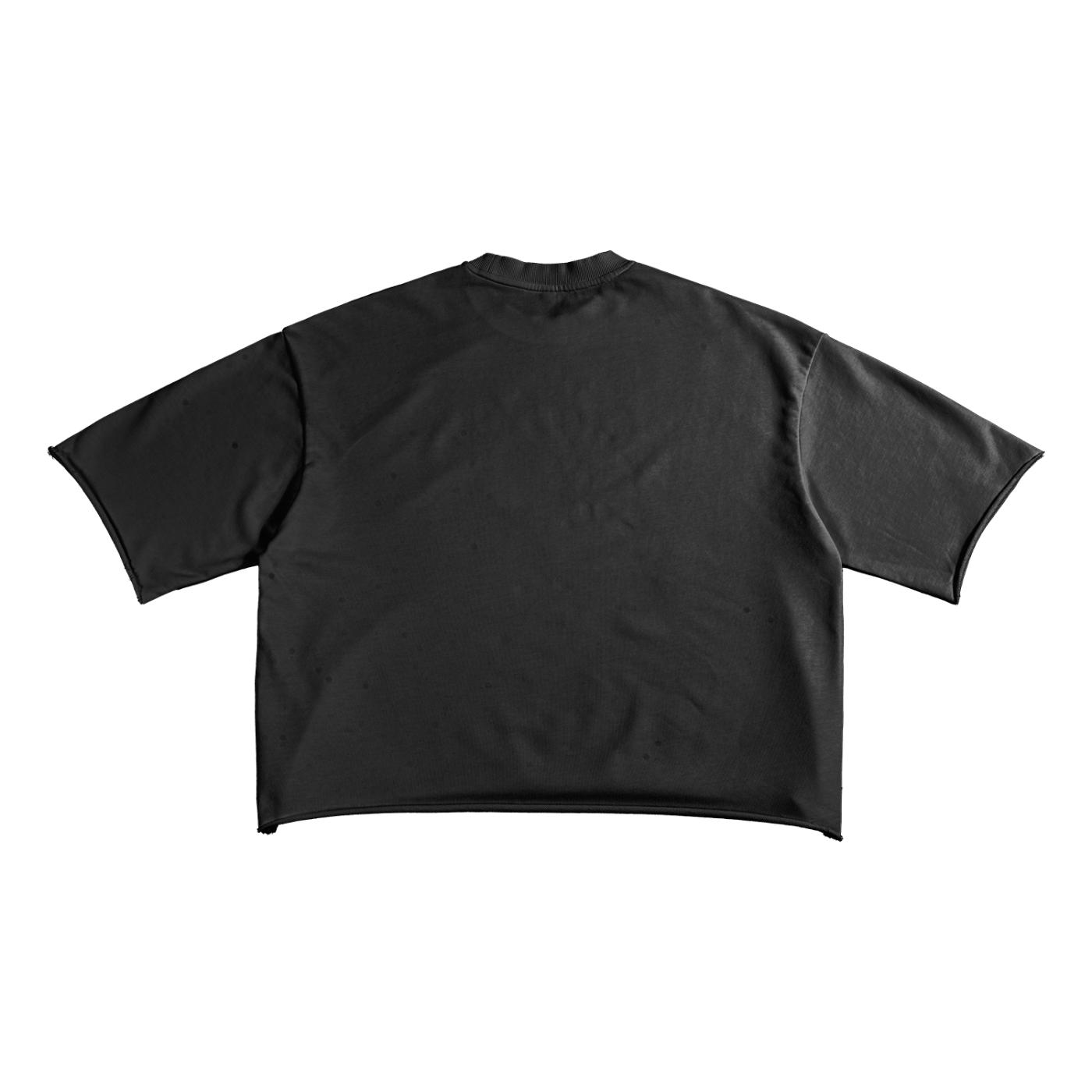 RXR Graphic Oversize T (Purple)